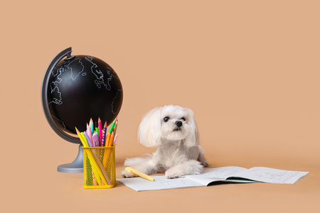 Cute Maltese dog with globe and different school stationery on beige backgroundの写真素材