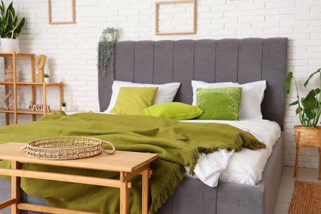 Interior of modern room with comfortable bed, shelving unit, bench and plantsの写真素材