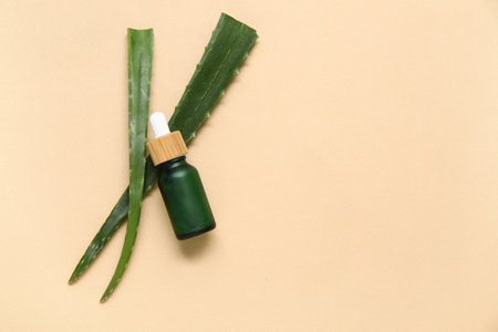 Fresh aloe leaves with bottle of essential oil on beige backgroundの写真素材
