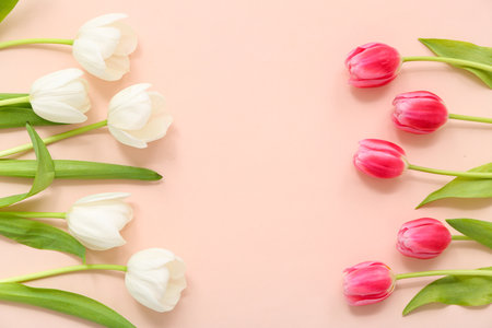 Frame made of beautiful tulips on pink backgroundの写真素材