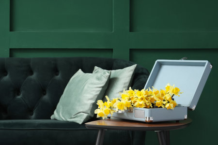 Record player with daffodils in stylish living roomの写真素材