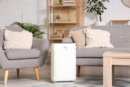 Air humidifier on carpet in living room interior