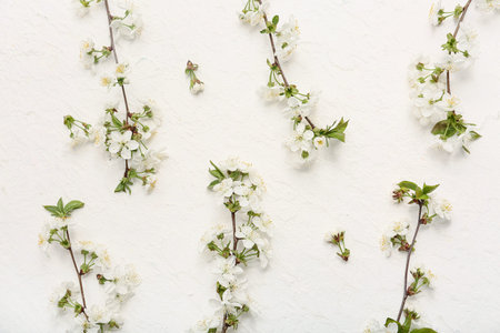 Beautiful blossoming branches on white background