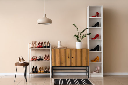 Interior of light room with female shoes, shelf units and drawersの写真素材