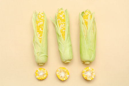 Fresh corn cobs on beige backgroundの写真素材