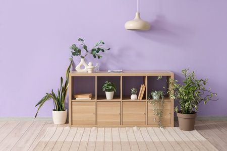 Interior of living room with stylish carpet, shelf unit and plantsの写真素材
