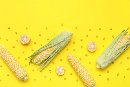 Fresh corn cobs with seeds on yellow backgroundの写真素材