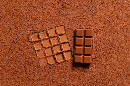 Tasty sweet chocolate on cocoa powderの写真素材