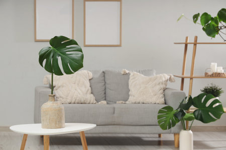 Interior of stylish living room with gray sofa and monstera leavesの写真素材