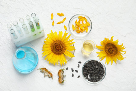Professional laboratory filled glassware with samples, sunflowers, seeds and oil on textured white backgroundの写真素材