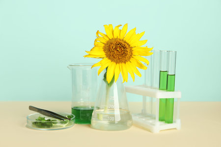 Professional laboratory glassware with samples, sunflower and sprouts on color backgroundの写真素材