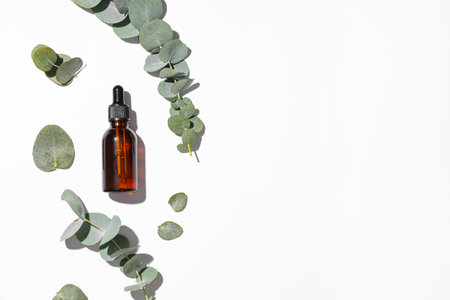 Bottle of eucalyptus essential oil, leaves and twigs on white backgroundの写真素材