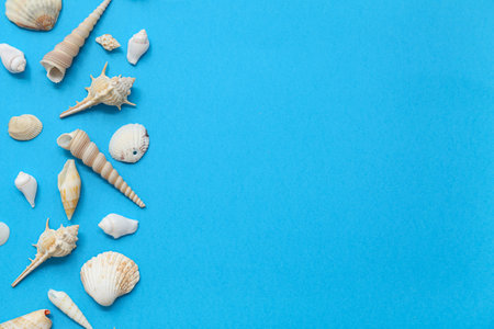 Many different sea shells on blue background