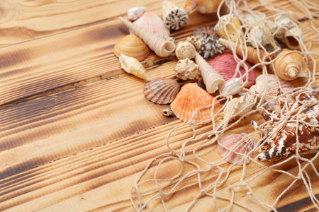 Many different sea shells and nets on wooden backgroundの写真素材