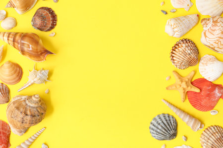 Frame made of different sea shells on yellow background