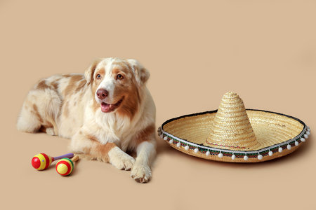 Funny dog with sombrero hat and maracas on beige backgroundの写真素材