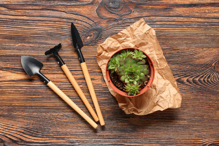 Gardening supplies with shovel, spade and rake on brown wooden background. Top viewの写真素材