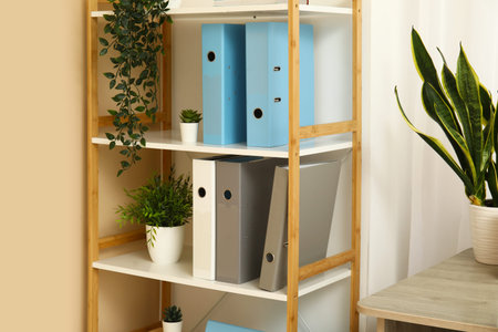 Shelf unit with folders and plants in office