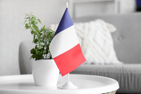 Flag of France with plant on table in living room, closeupの写真素材