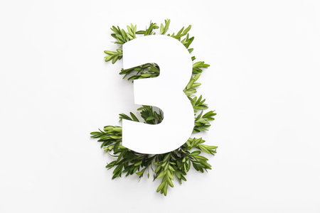 Boxwood leaves with paper number three on white background. Top view