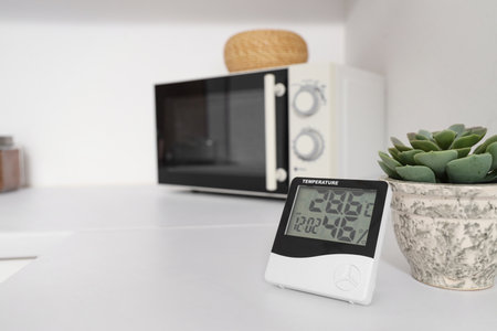 Digital hygrometer with plant on counter in kitchen, closeupの写真素材