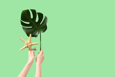 Female hands with starfish and monstera leaf on green background. Travel conceptの写真素材