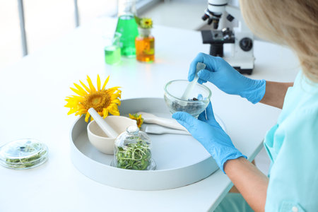 Female scientist grinding powder of sunflower seeds in laboratory, closeup