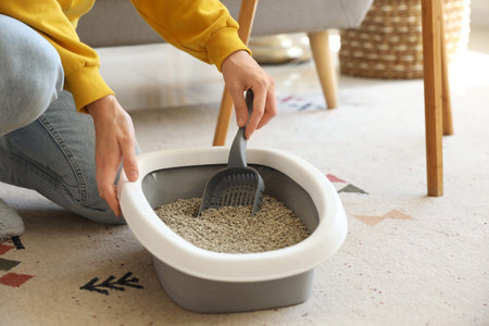 Young woman cleaning cat litter box at home, closeup