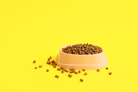 Bowl with dry pet food on yellow backgroundの写真素材