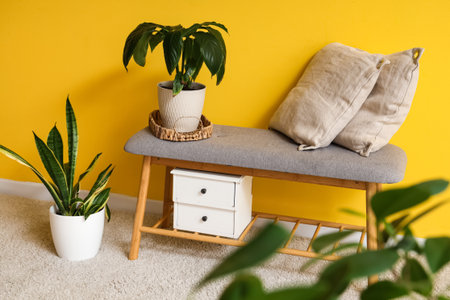 Cozy bench, pillows and houseplants near yellow wall in beautiful roomの写真素材