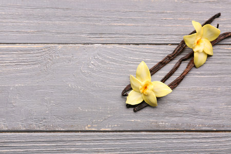 Beautiful vanilla flowers and sticks on gray wooden backgroundの写真素材