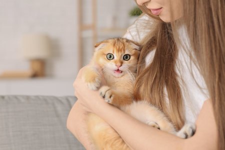 Young woman with cute kitten at home, closeupの写真素材