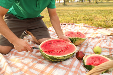 Young man cutting watermelon on picnic in park, closeupの写真素材