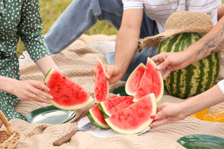 Young friends taking slices of watermelon on picnic in park, closeupの写真素材