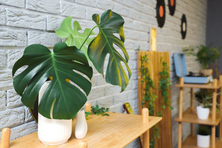 Vase with palm leaves on shelf in living room, closeupの写真素材