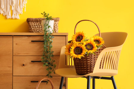 Chest of drawers, chair and sunflowers in basket in room. Closeupの写真素材