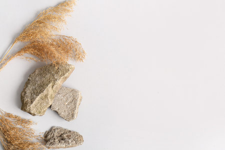 Composition with stones and dry reeds on white background