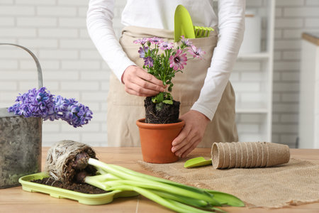 Woman repotting blooming plant at wooden tableの写真素材