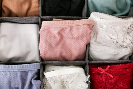 Organizer with women's panties, top viewの写真素材