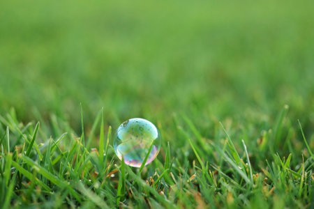 Beautiful soap bubble on green grass