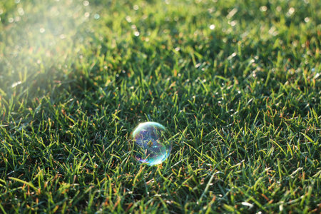 Beautiful soap bubble on green grass