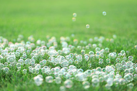 Many beautiful soap bubbles on green grassの写真素材