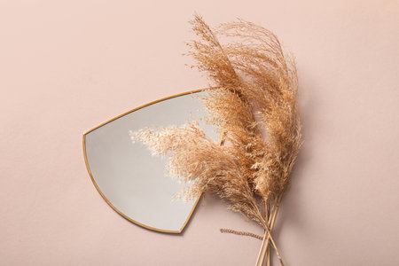 Stylish mirror and dry reeds on color backgroundの写真素材