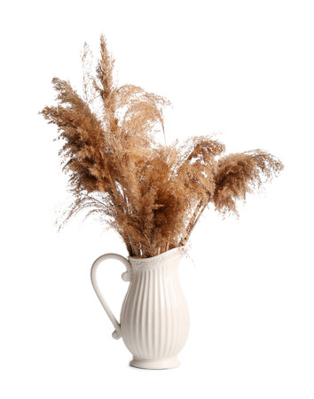 Vase with dry common reeds on white backgroundの写真素材