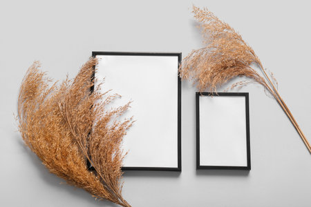 Blank picture frames and dry reeds on white backgroundの写真素材