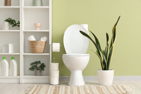 Toilet bowl, shelving unit and houseplants near green wall in rest roomの写真素材