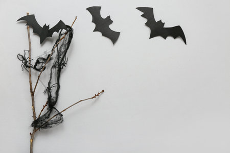 Composition with tree branch paper bats and spiders for Halloween on gray backgroundの写真素材