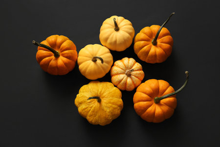 Composition with different fresh pumpkins on dark backgroundの写真素材