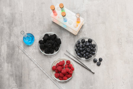 Professional laboratory glassware with berries and samples on grunge gray background, top viewの写真素材