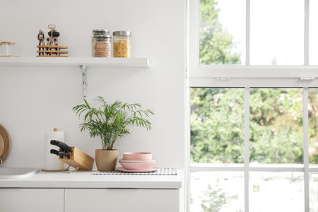 Palm with utensils on counter in light kitchenの写真素材